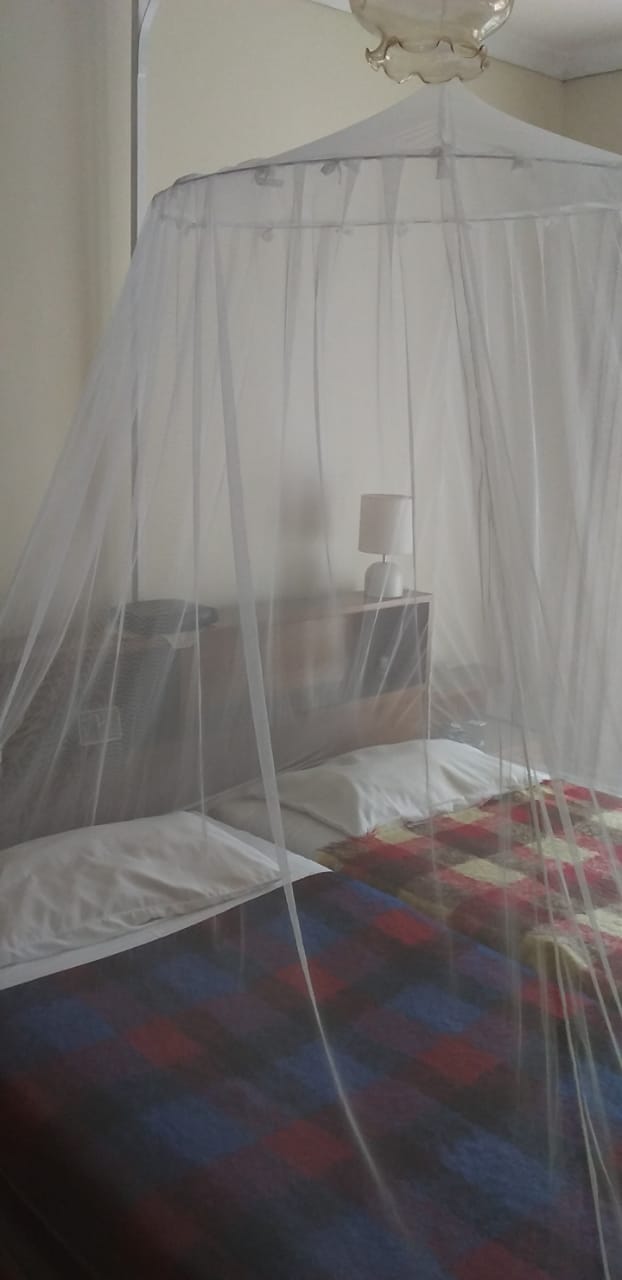 1 ring net over 2 beds
