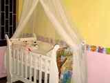 The cot net
