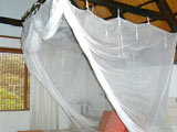 Hammock